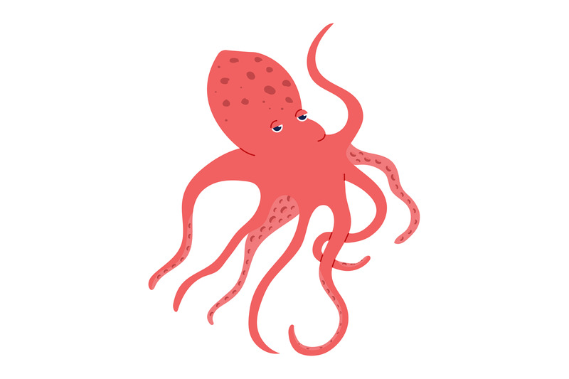 red-octopus-isolated-on-white-marine-life