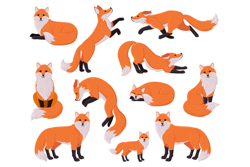 cartoon-foxes-forest-red-cute-fox-character-woodland-animal-forest