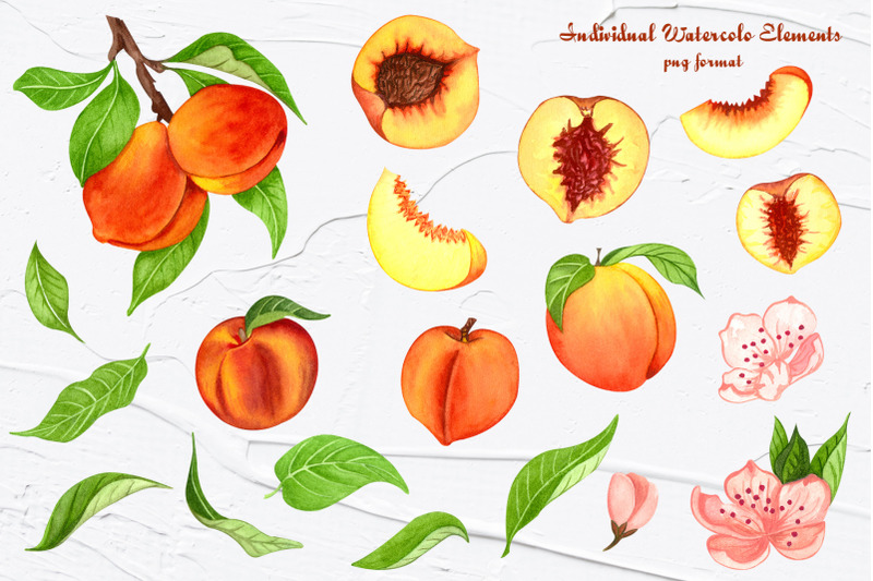 peach-watercolor-set