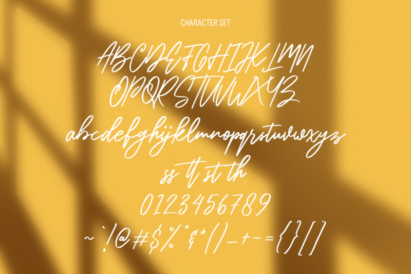 antigor-brush-script-font