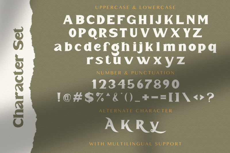 mister-saefudin-elegant-serif-font
