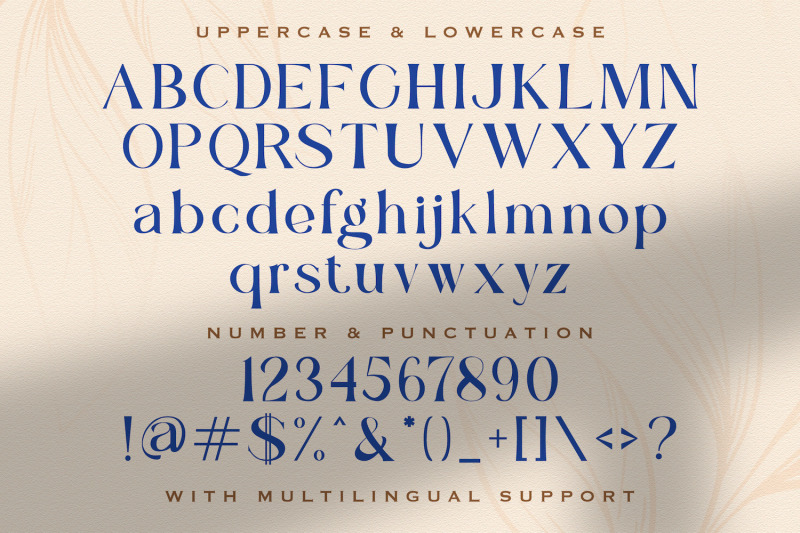 renjany-elegant-serif-font