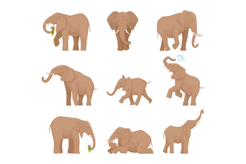 african-large-elephants-big-wild-elephants-exact-vector-pictures-set