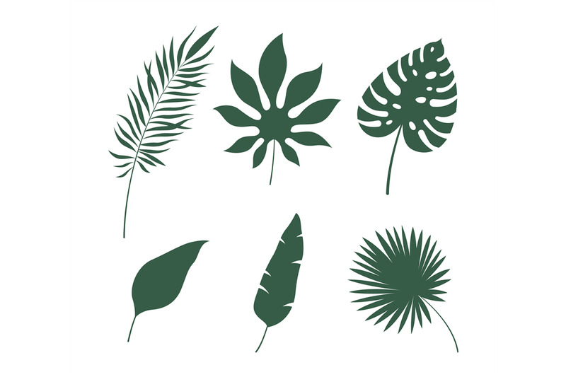 leaves-silhouettes-tropical-green-jungle-exotic-leaf-palm-monstera-a