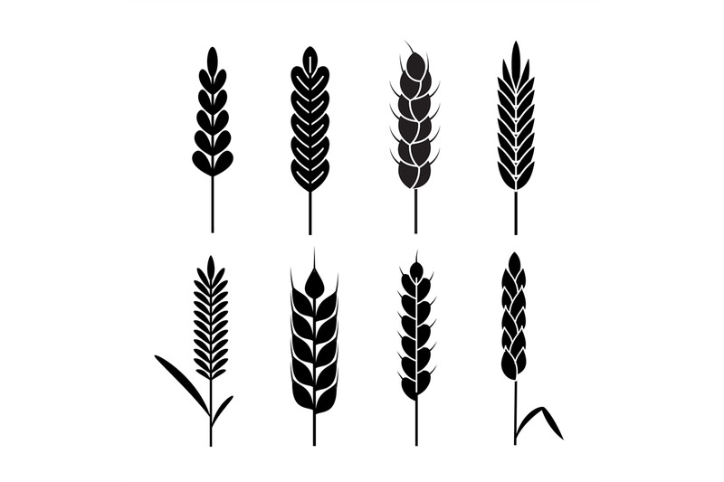 wheat-ears-icons-organic-agriculture-cereals-harvest-rye-black-silho