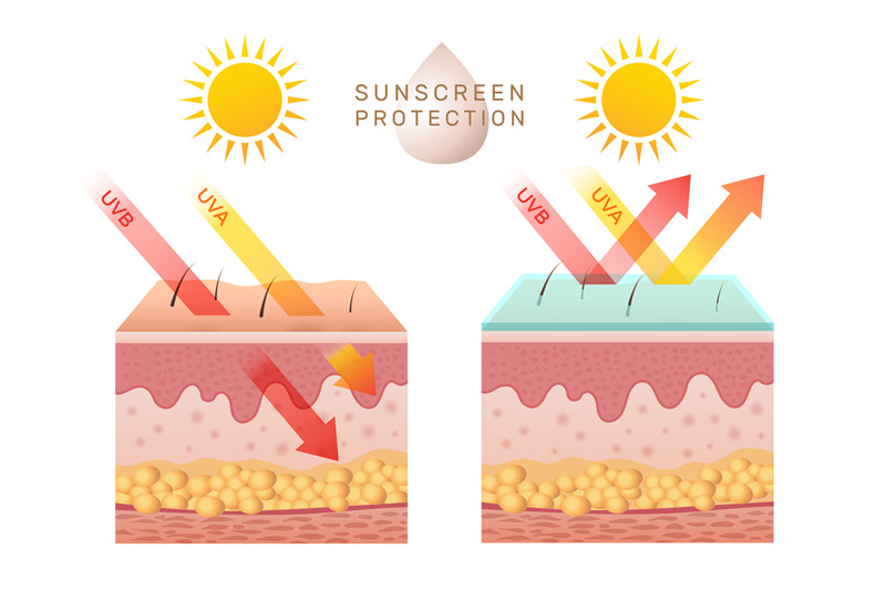 uv-skin-protection-damaged-human-skin-peels-before-and-after-sun-prot