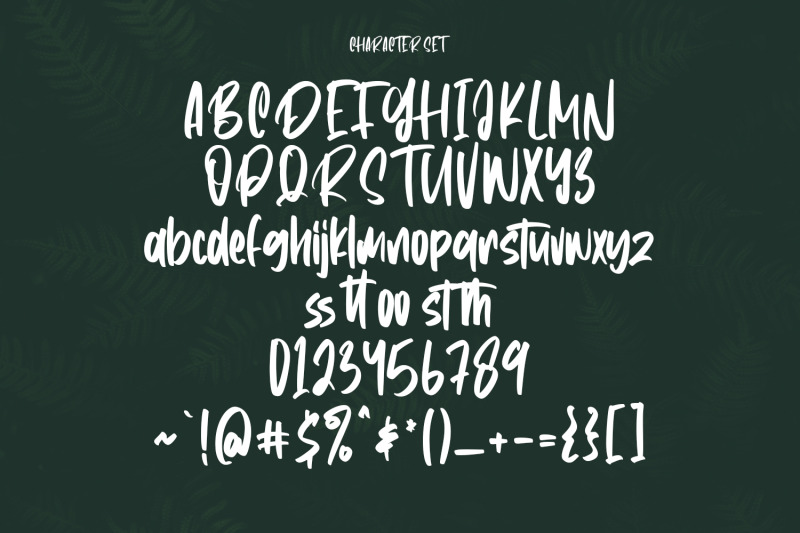 anthem-park-handwritten-script-font