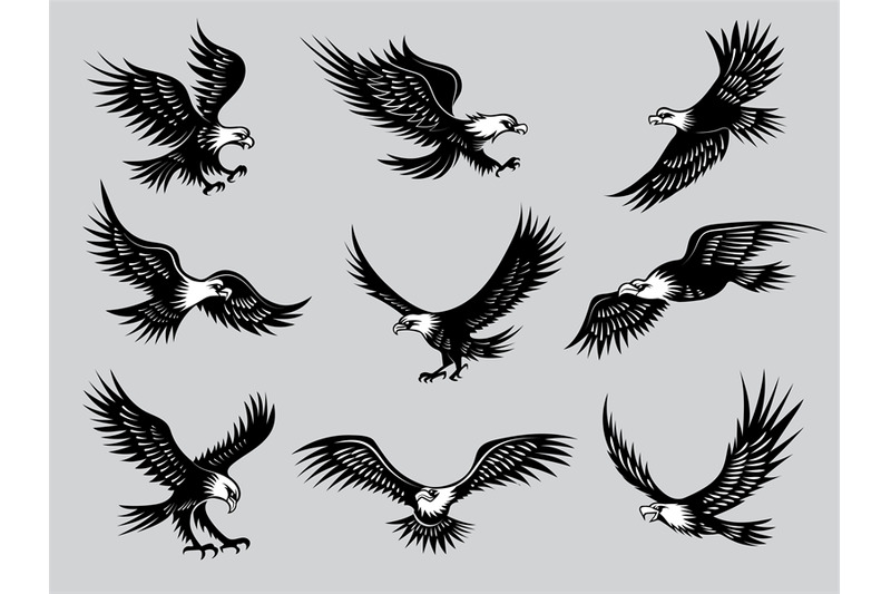 flying-eagles-silhouettes-of-birds-wild-hawks-freedom-animals-for-mot