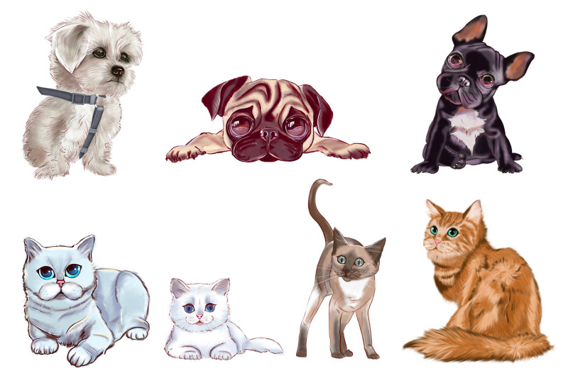 dog-and-cat-clipart-set-animal-png