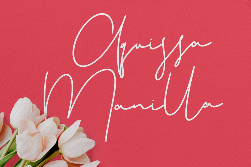 christie-dianna-font