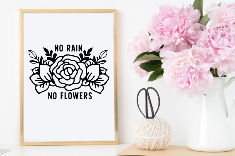 no-rain-no-flowers