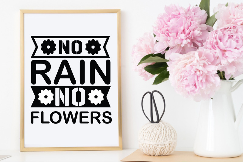 on-rain-no-flowers