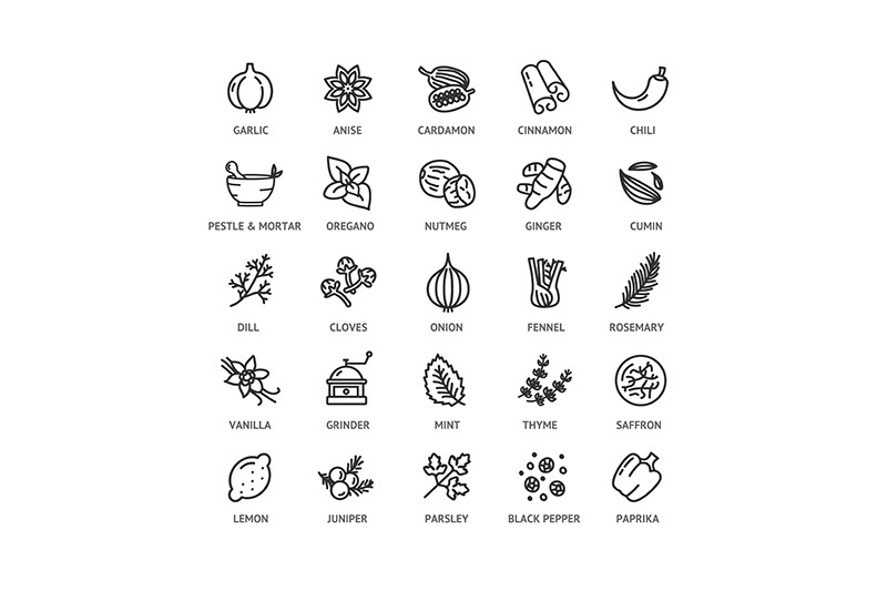spices-and-herbs-thin-line-icon-set-vector