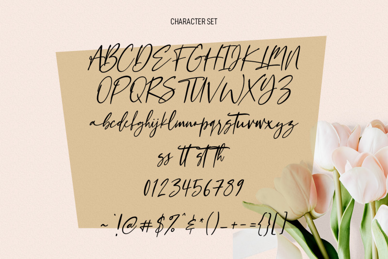 claudio-wings-feminine-signature-script-font