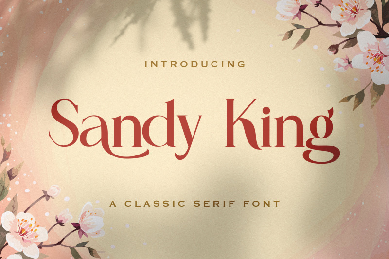 sandy-king-casual-serif-font