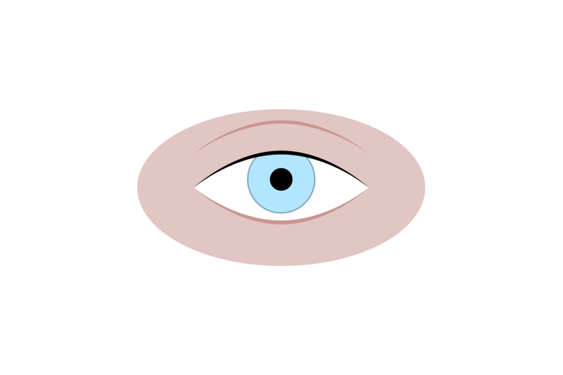 human-eye-isolated-on-white-eye-adult-attractive