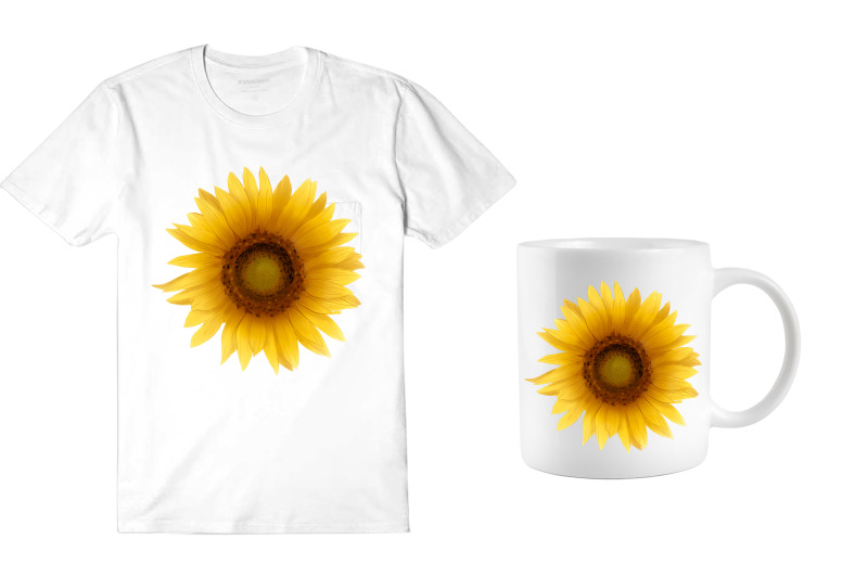 sunflower-sublimation-png