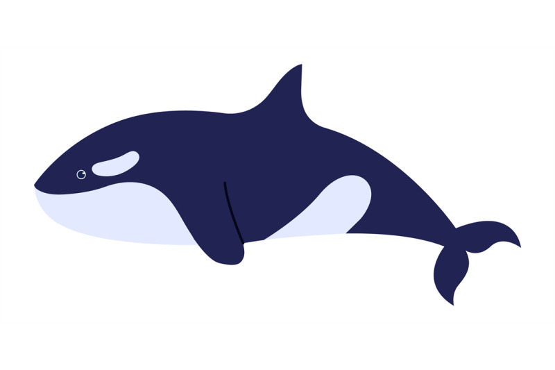 killer-whale-cartoon-sea-character-isolated-on-white