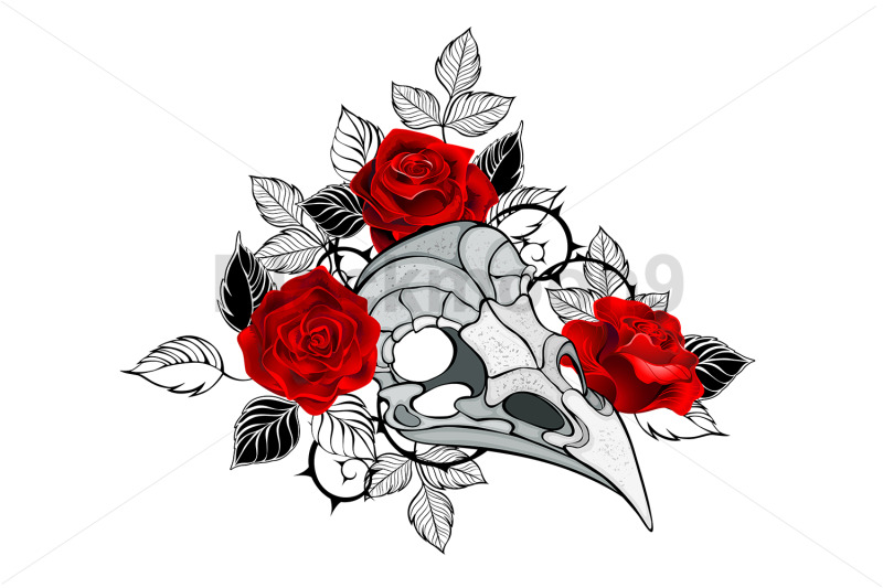 bird-skull-with-red-roses