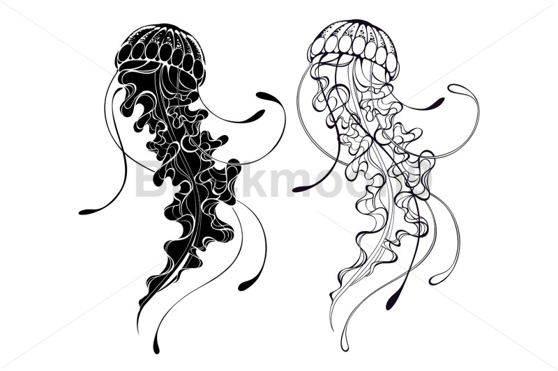 contour-jellyfish