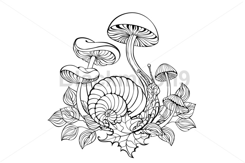 snail-with-contour-mushrooms