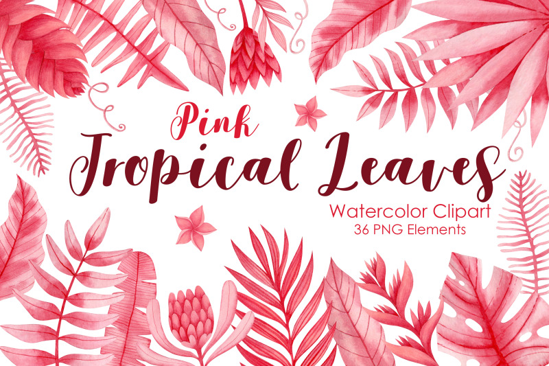 watercolor-pink-tropical-leaves-clipart