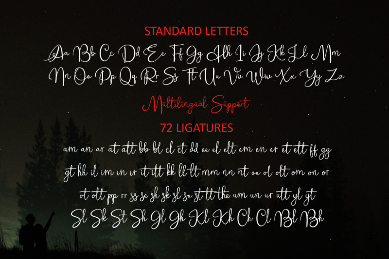 alleysha-handwritten-font