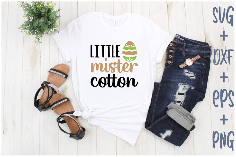 little-mister-cotton