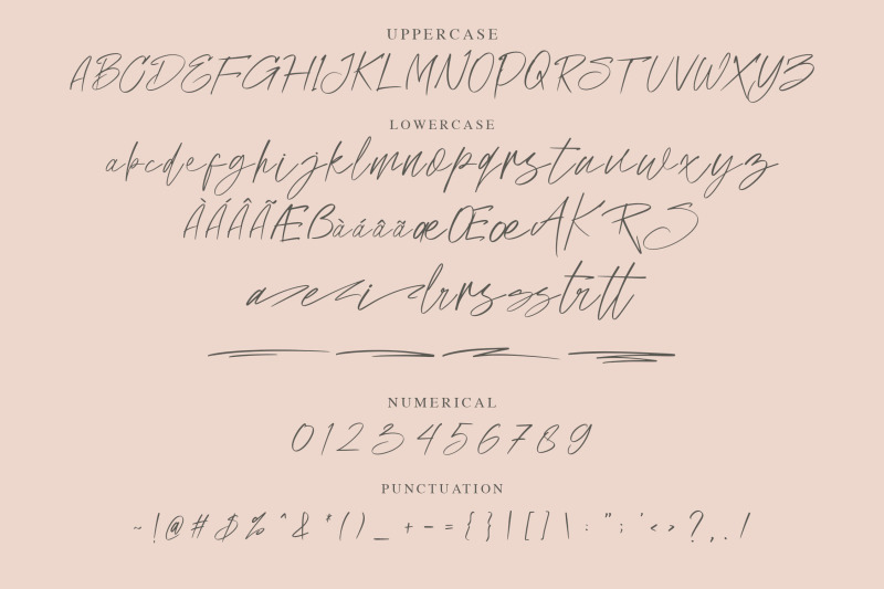 patrice-sephia-script-font