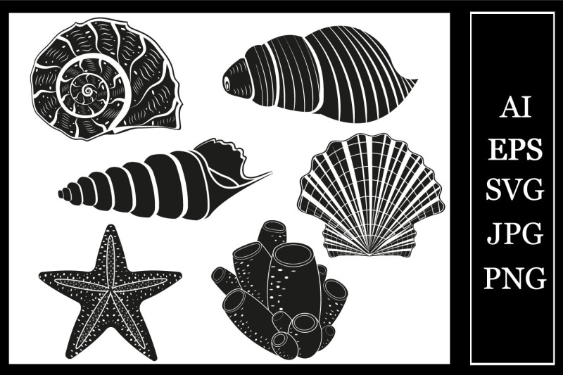 set-of-seashells-svg-format