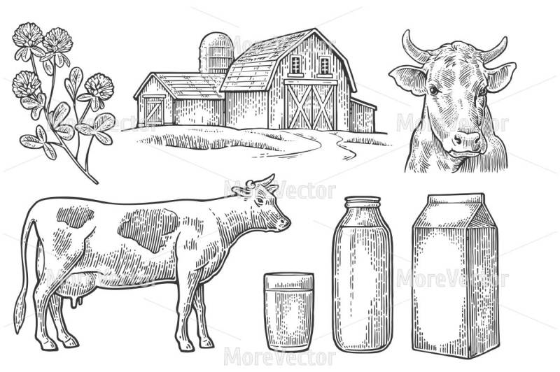 set-milk-farm-cow-head-and-figure-clover-box-carton-package-glass-and-bottle