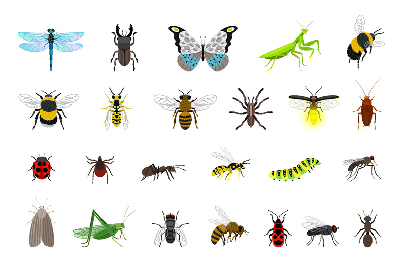 cute-insects-collection