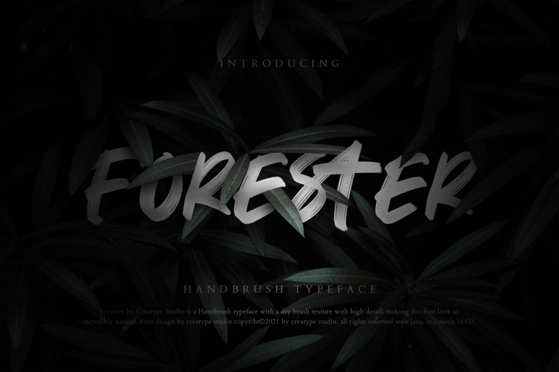 forester-hand-brush