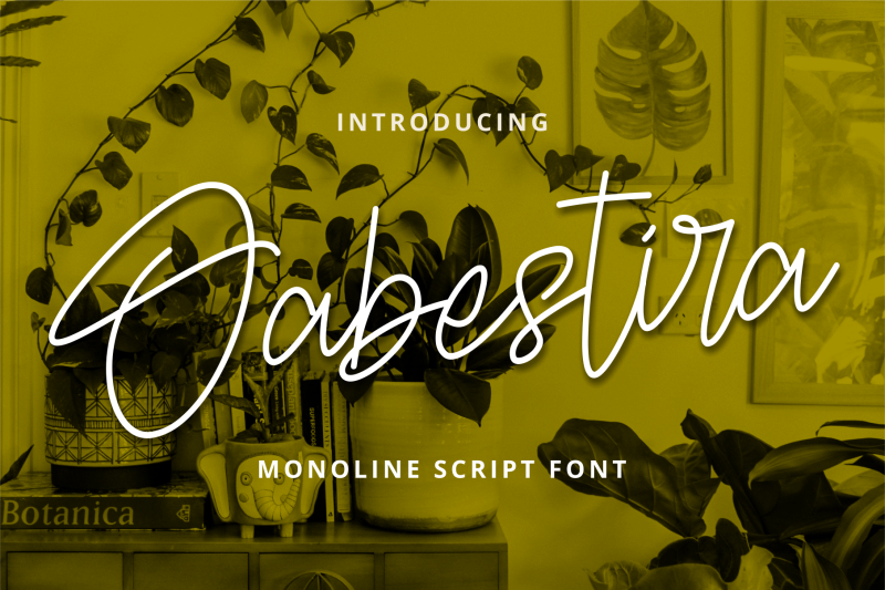 oabestira-monoline-script-font