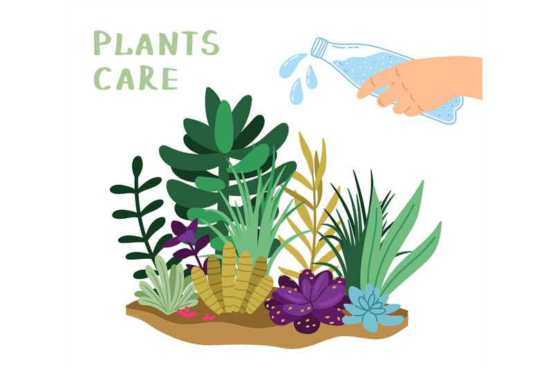 plants-care-illustration