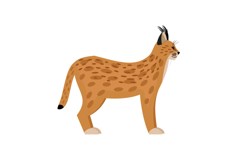 wild-lynx-cartoon-character