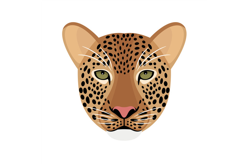 leopard-head-isolated-on-white