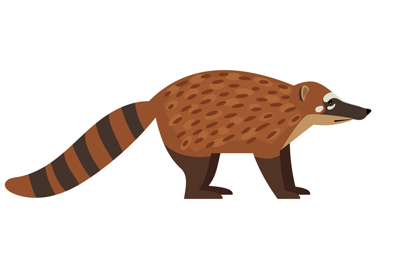 tailed-exotic-coati-animal