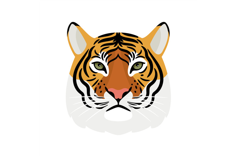 tiger-head-isolated-on-white