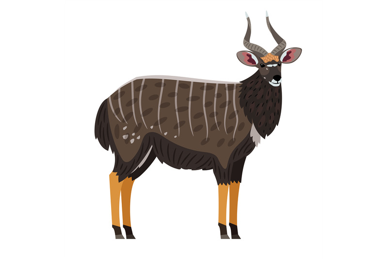 african-antelope-cartoon-icon