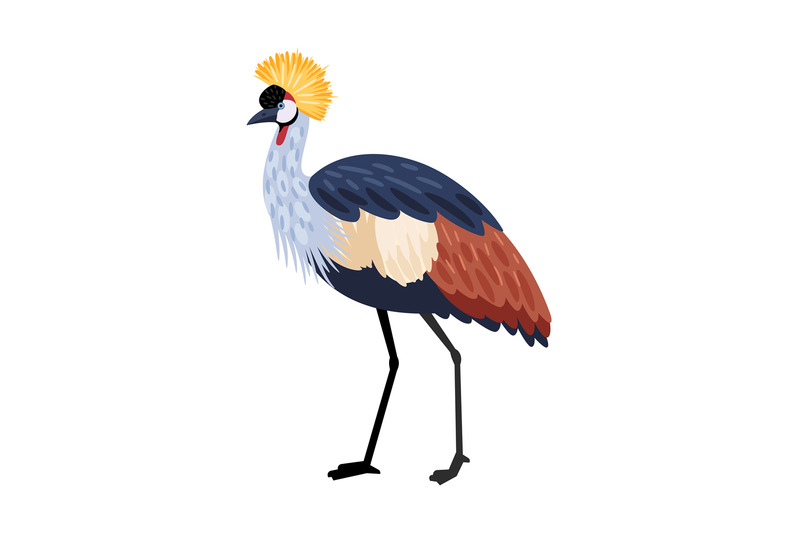 bird-with-long-legs