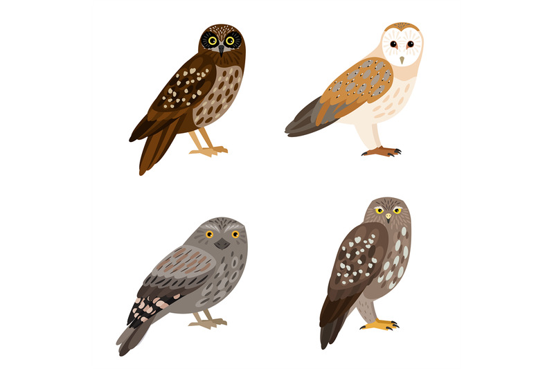 different-owl-set