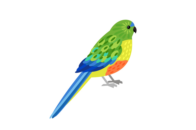 tropical-parrot-character