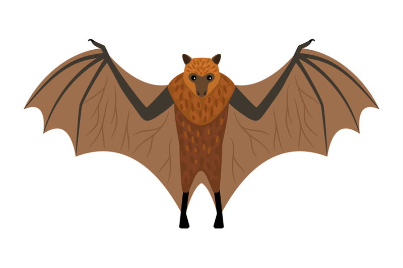 flying-fox-icon