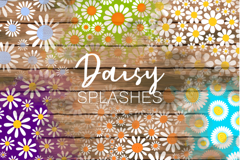 summer-meadow-daisy-floral-country-splashes