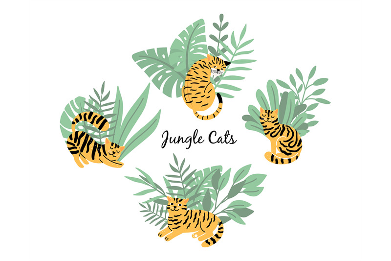 cats-tigers-in-jungle-plants