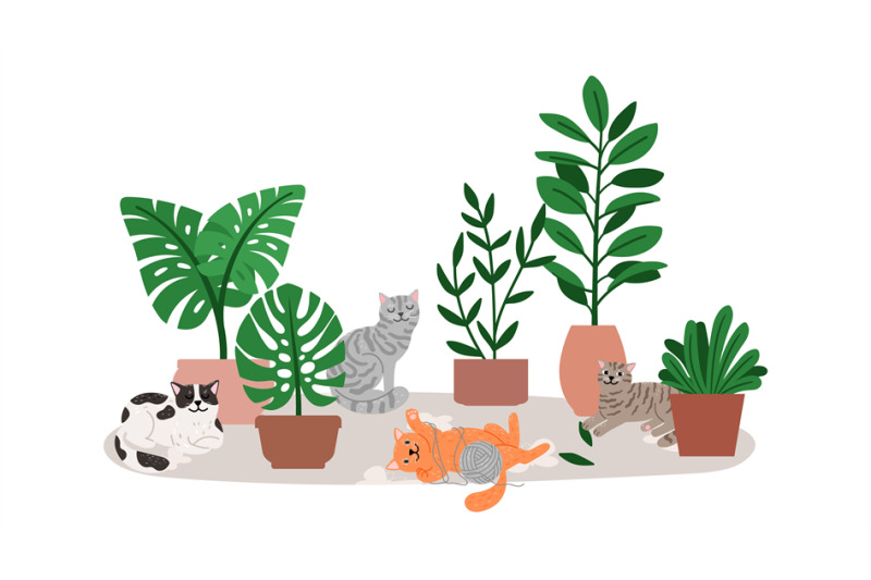 cat-relaxing-near-home-plants