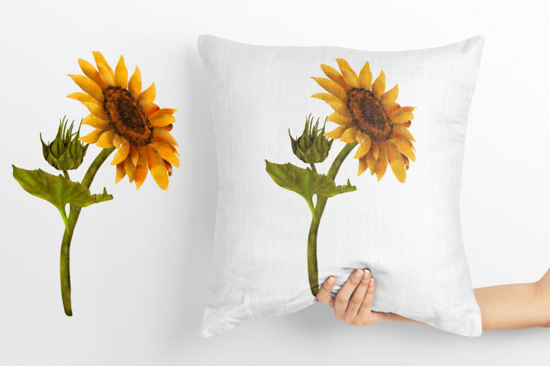 sunflower-yellow-flowers-clipart