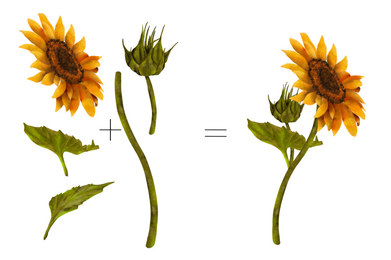 sunflower-yellow-flowers-clipart