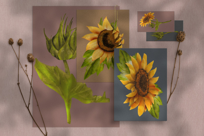 sunflower-yellow-flowers-clipart